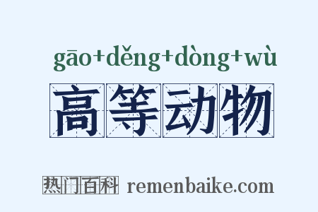 高等动物是什么意思的图片